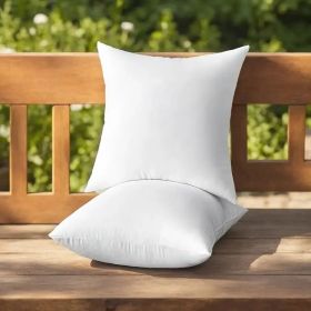 Throw Pillows (Option: W13724785)